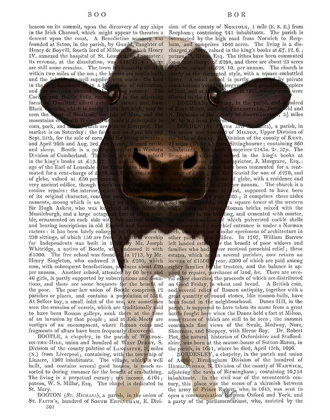 Picture of NOSEY COW 2 BOOK PRINT