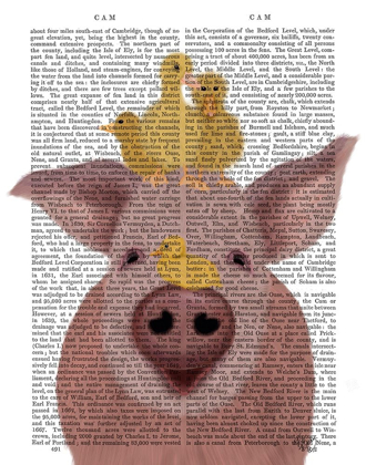 Picture of PIG AND DUCKLINGS BOOK PRINT