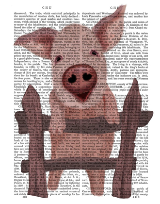 Picture of PIG ON FENCE BOOK PRINT
