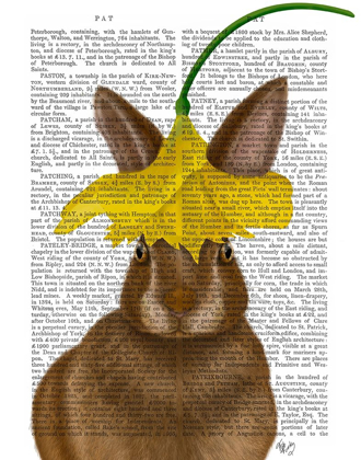 Picture of DAFFODIL RABBIT BOOK PRINT