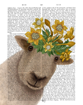 Picture of SHEEP WITH DAFFODIL CROWN BOOK PRINT
