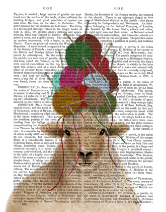 Picture of SHEEP WITH WOOL HAT, PORTRAIT BOOK PRINT