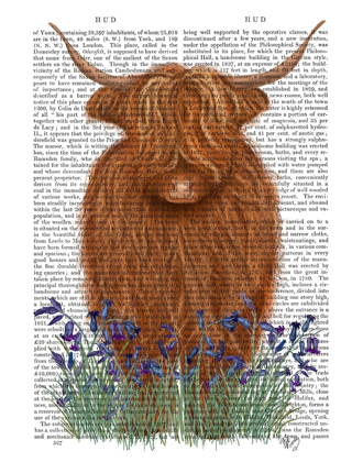 Picture of HIGHLAND COW, BLUEBELL BOOK PRINT