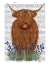 Picture of HIGHLAND COW, BLUEBELL BOOK PRINT