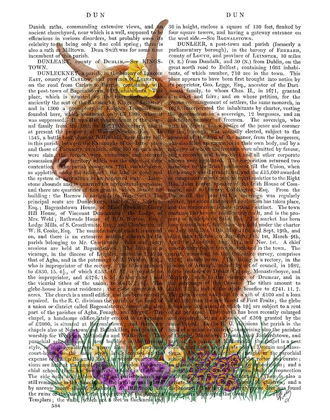 Picture of HIGHLAND COW, PANSY BOOK PRINT