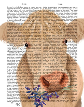 Picture of COW CREAM, BLUEBELLS BOOK PRINT