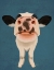 Picture of NOSEY COW 1