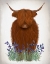 Picture of HIGHLAND COW, BLUEBELL