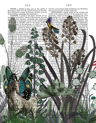 Picture of WILDFLOWER BLOOM, HORSE BOOK PRINT