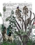 Picture of WILDFLOWER BLOOM, HORSE BOOK PRINT