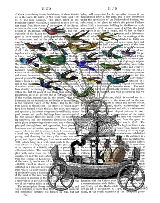 Picture of BIRD BOAT BOOK PRINT