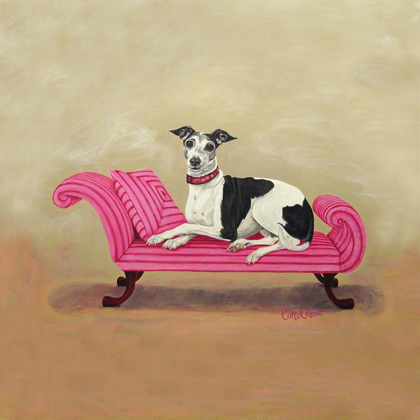 Picture of ITALIAN GREYHOUND ON PINK