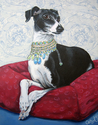 Picture of ITALIAN GREYHOUND ON RED