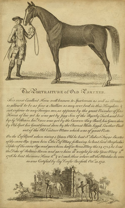 Picture of HORSE PORTRAITURE II
