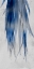 Picture of INDIGO GROWTH 2