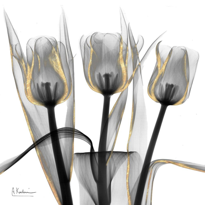Picture of GOLD EMBELLISHED TULIPS 4