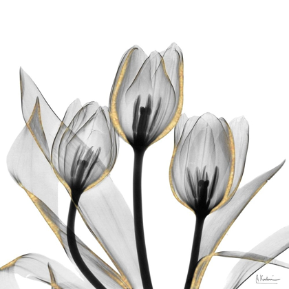 Picture of GOLD EMBELLISHED TULIPS 5