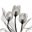 Picture of GOLD EMBELLISHED TULIPS 5