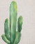 Picture of LINEN CACTUS 1