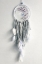Picture of DREAM CATCHER