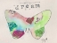 Picture of BUTTERFLY DREAM II