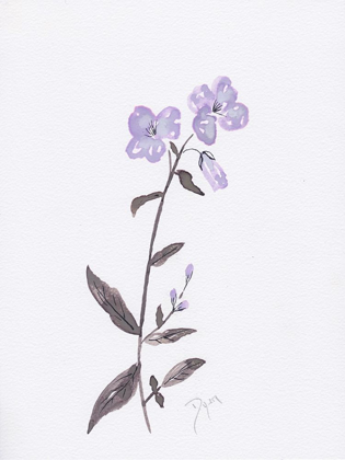 Picture of LAVENDER WILDFLOWERS II