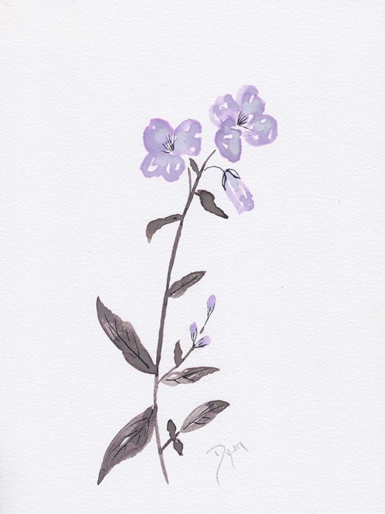Picture of LAVENDER WILDFLOWERS II