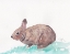 Picture of BUNNY