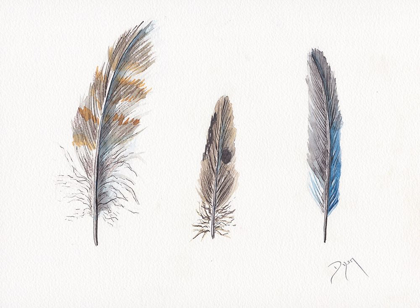 Picture of FEATHER COLLECTION