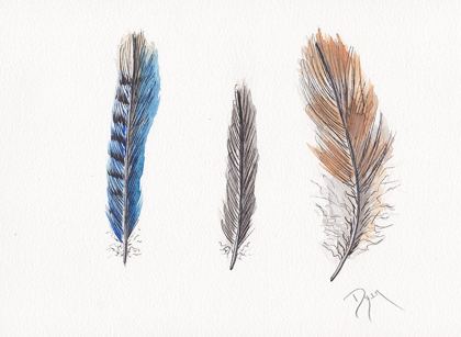 Picture of FEATHER COLLECTION II