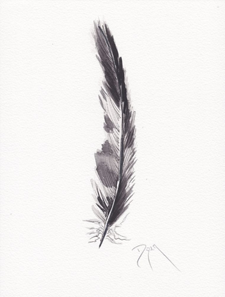 Picture of FEATHERS BLACK AND WHITE