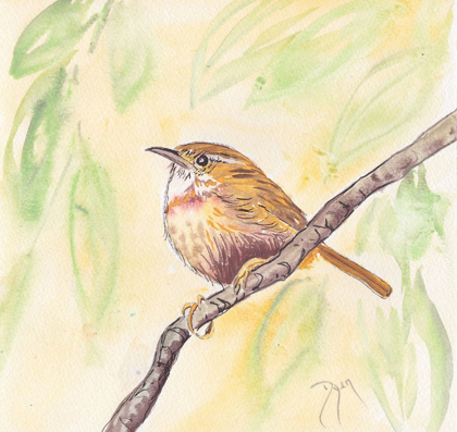 Picture of SUNNY WREN