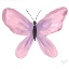 Picture of WATERCOLOR PINKFLY