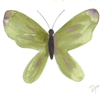 Picture of WATERCOLOR OLIVEFLY