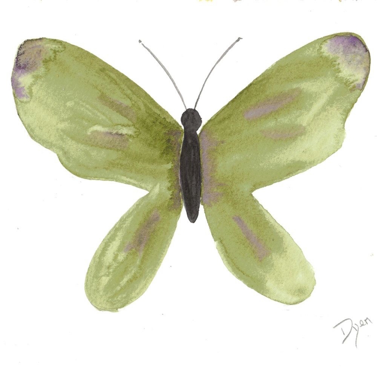 Picture of WATERCOLOR OLIVEFLY