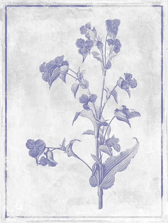 Picture of MONOCHROME FLORAL LAVENDER