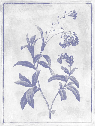 Picture of MONOCHROME FLORAL LAVENDER 2