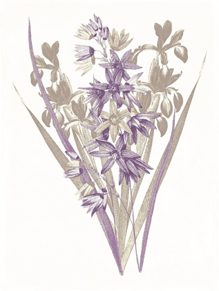 Picture of LAVENDER FLOWERS THREE