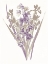 Picture of LAVENDER FLOWERS THREE