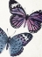 Picture of BUTTERFLY HIGH THREE