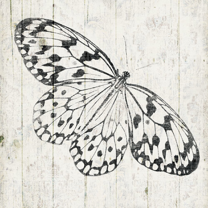 Picture of BUTTERFLY BOARD