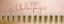 Picture of CHAMPAGNE