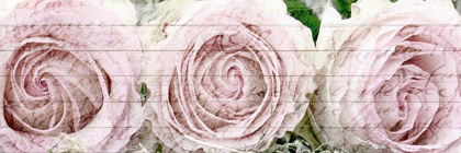Picture of THREE ROSES