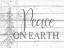 Picture of PEACE ON EARTH 2