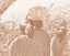 Picture of FOLLOW YOUR SOUL 1B