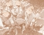 Picture of FOLLOW YOUR SOUL 2B