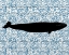 Picture of PAISLEY WHALE 3