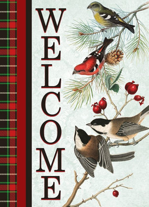 Picture of CHRISTMAS BIRDS WELCOME