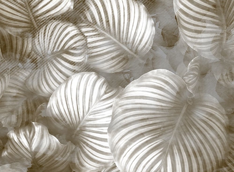 Picture of BEIGE PALMS