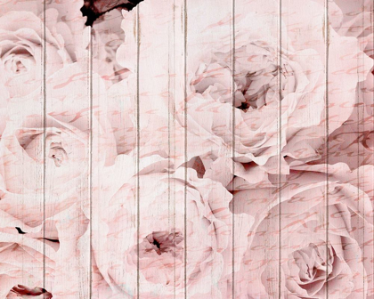 Picture of IN THE ROSES 1